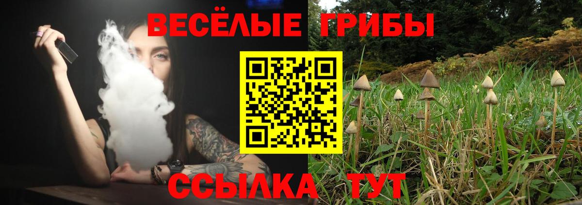 Псилоцибиновые грибы мухоморы  наркотики  Благодарный  Вход с VPN  Галлюциногенные грибы Psilocybine cubensis 