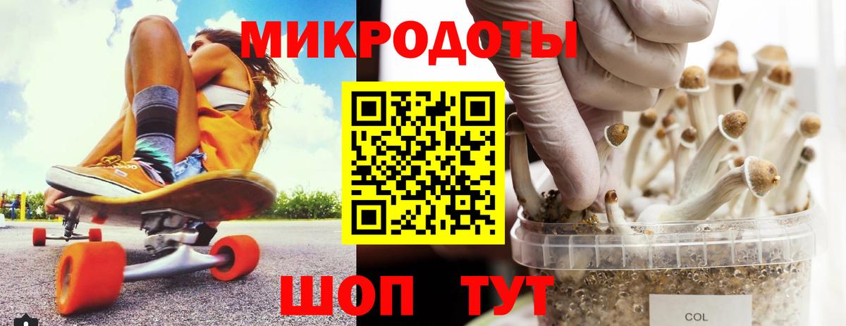 Псилоцибиновые грибы GOLDEN TEACHER Благодарный